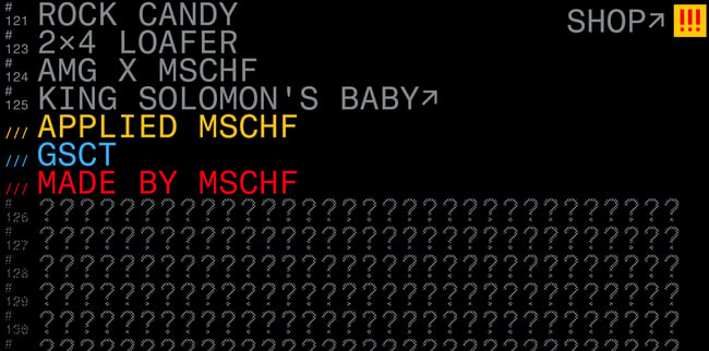 MSCHFのファーストビュー