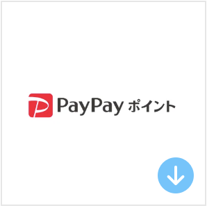 paypay_04